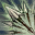 icon skill0987