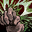icon skill1350